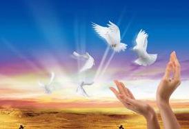 熱烈慶祝我公司網(wǎng)站正式上線！